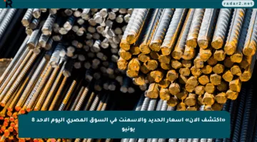 «اكتشف الآن» اسعار الحديد والاسمنت في السوق المصري اليوم الأحد 8 يونيو